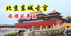 操美女电影免费中国北京-东城古宫旅游风景区